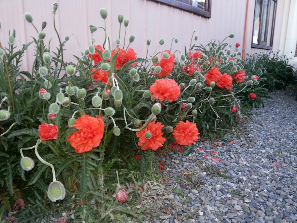 Apartamento Valyak Rent - Servicios Integrales Punta Arenas
