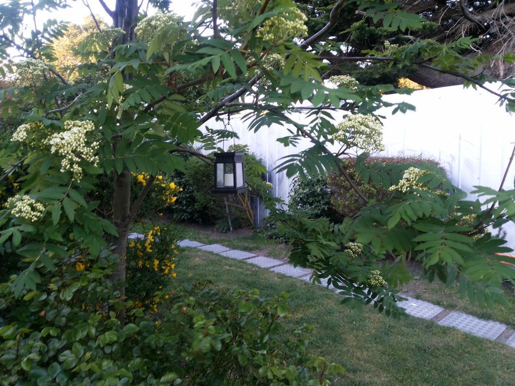 Valyak Rent - Servicios Integrales Apartamento Punta Arenas